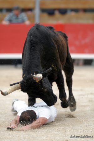 Affiche photo - Combat