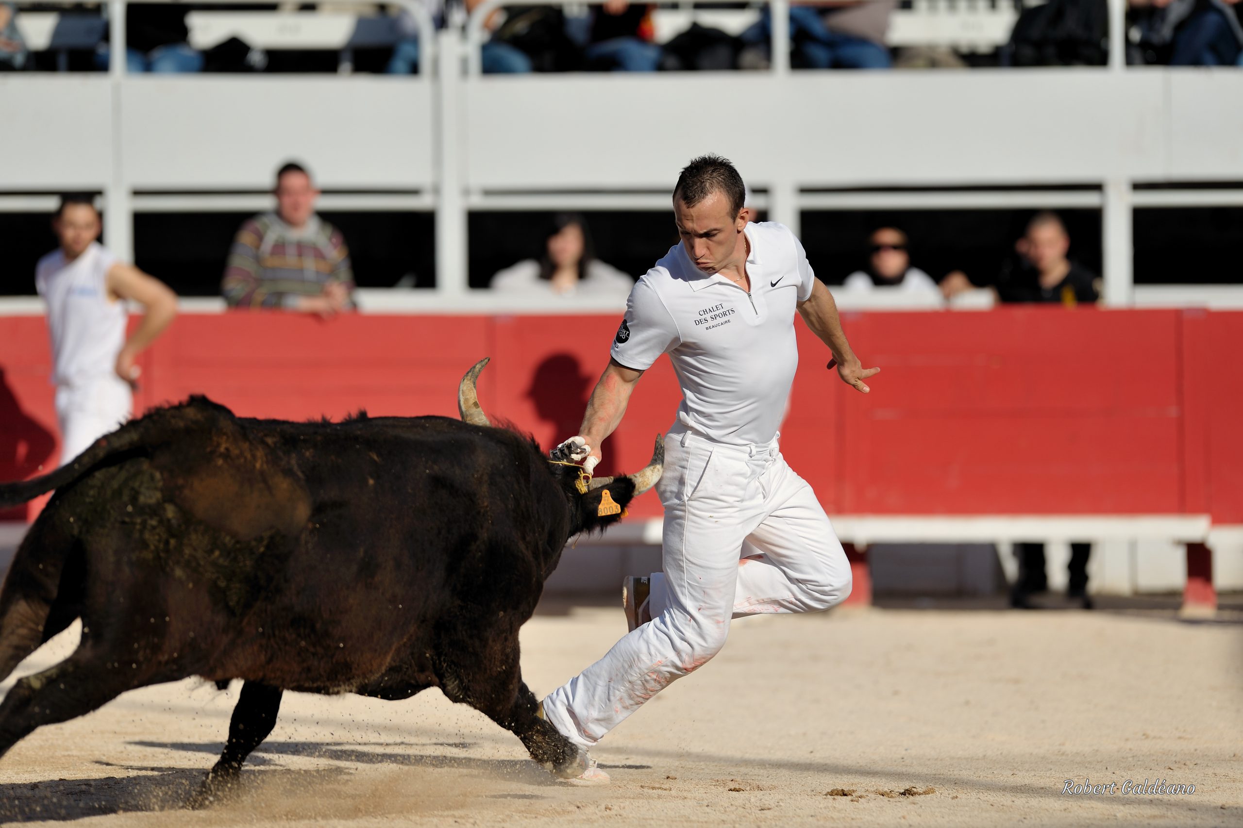 Affiche photo - Le Raseteur