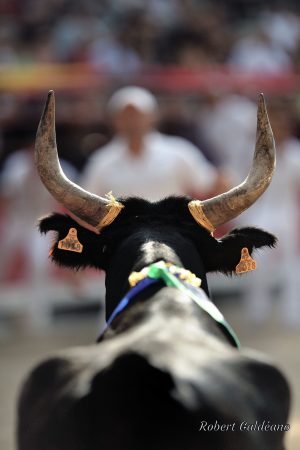Affiche photo - Duel en arène