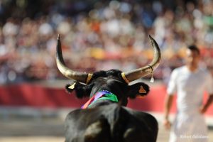 Affiche photo - Face-à-Face