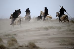 Affiche photo - Chevaux et Poussière