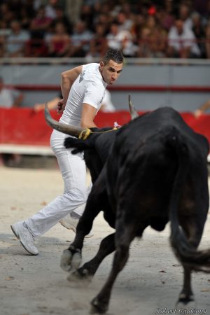 Affiche photo - Course Camarguaise